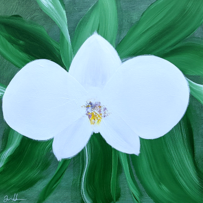 Orchid no 1